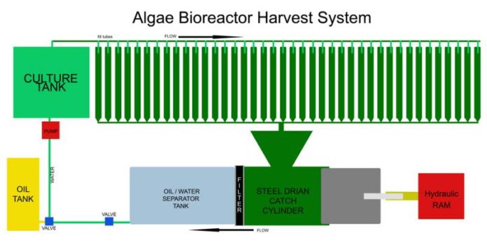 Algae Biofuel Farm: Photobioreactor Harvester Extraction ...