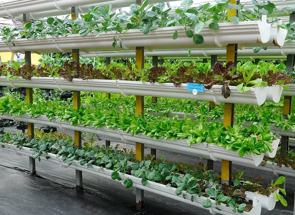 Vertical farming