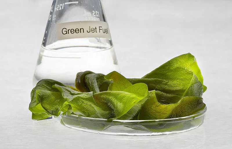 Algae Jet Fuel