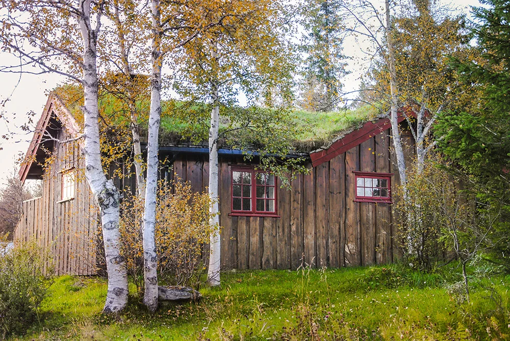 Off grid cabin