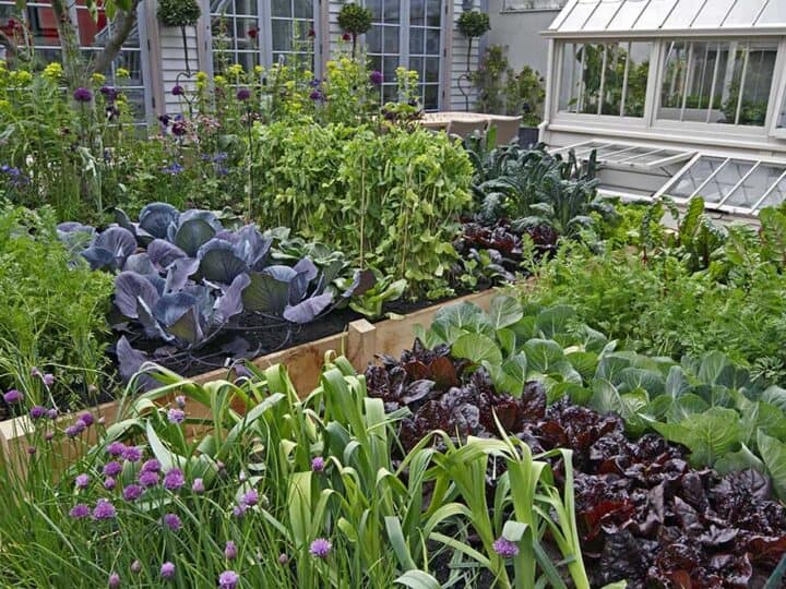 Planting a one acre garden