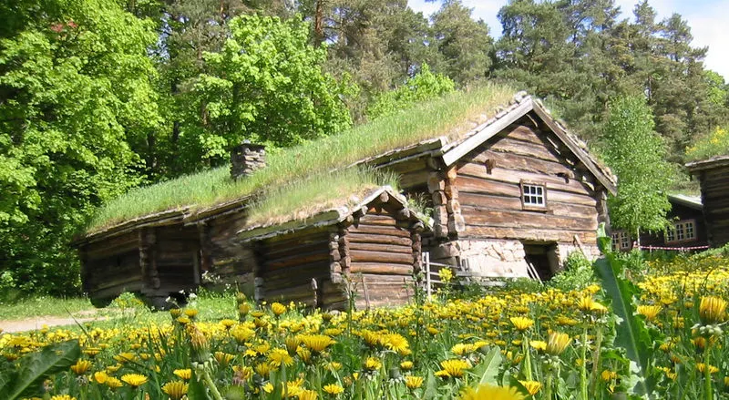 Off grid log cabin with living roof