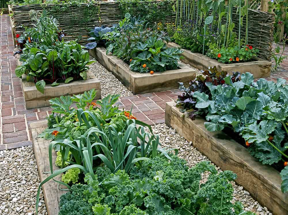 Grow food not lawns