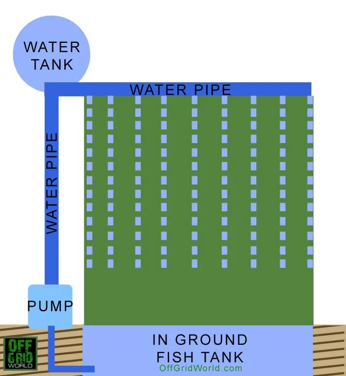 Vertical aquaponics layout