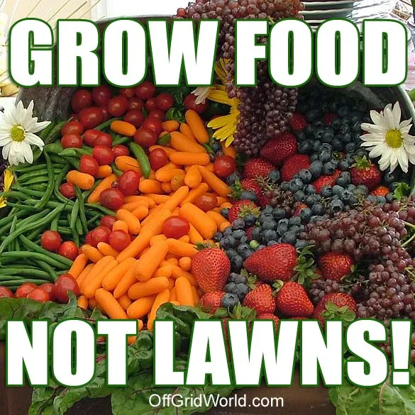 Grow Food Not Lawns