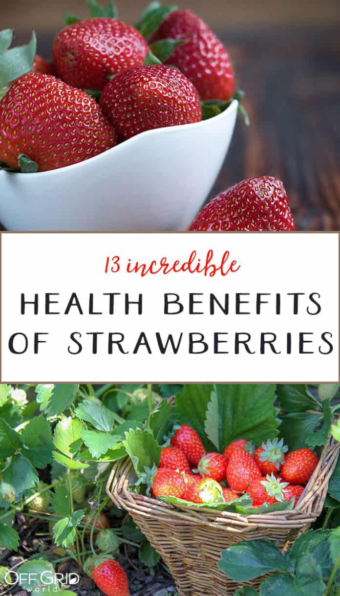 13 Health Benefits of Strawberries Off Grid World