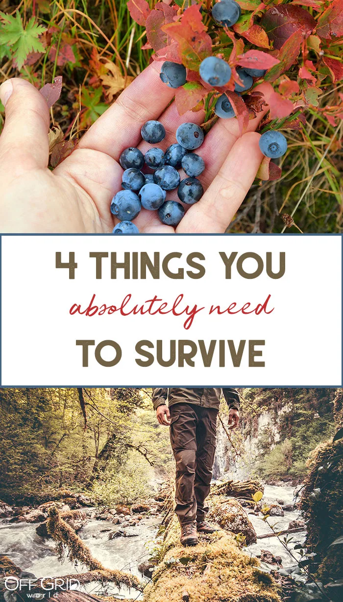 Things you need to survive