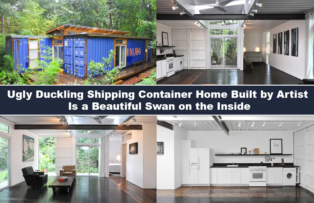 Ugly Duckling Shipping Container Home Built by Artist Is a Beautiful Swan on the Inside