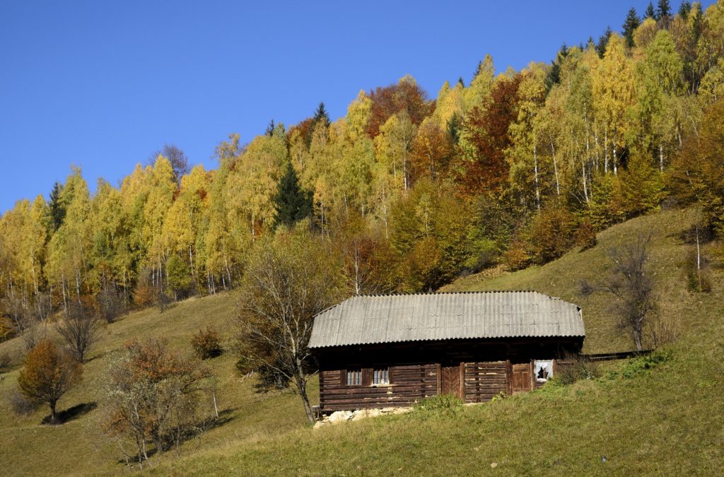 off grid что это значит