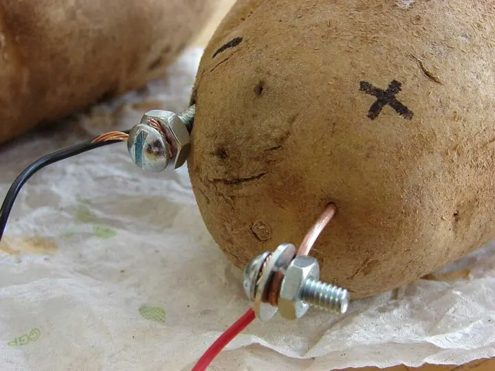 Potato battery