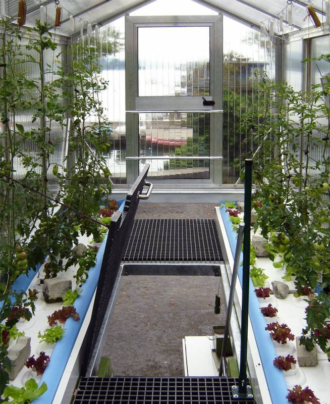 Urban farm unit Greenhouse Shipping Container