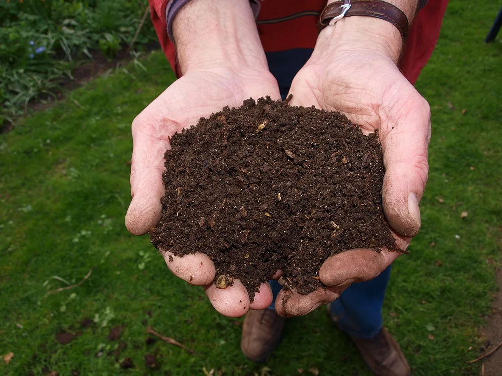 compost for heat