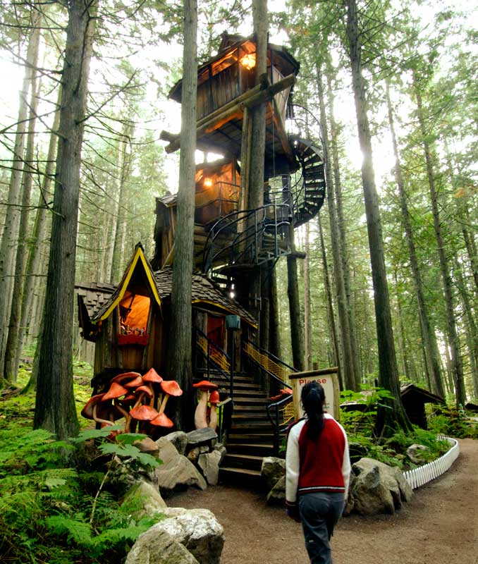 enchanted forest tree house