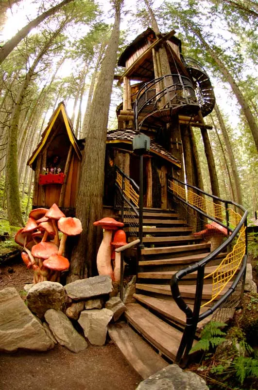 enchanted forest tree house2
