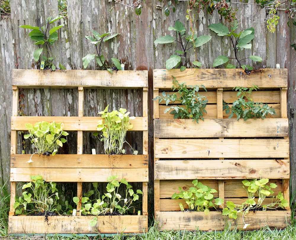 Upcycle Old Pallets To Make Beautiful Vertical Gardens Off Grid