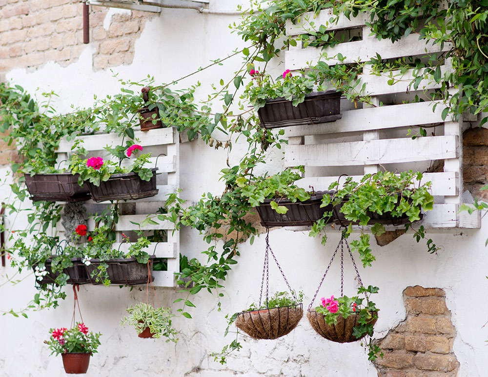 Pallet vertical garden