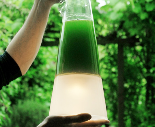 Amazing Algae Powered Lamp Converts CO2 to Light