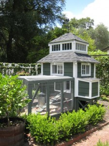 Picture Idea: 16 Ridiculously Adorable Chicken Coops