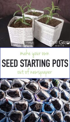 How to Make Newspaper Pots for Starting Seeds - Off Grid World