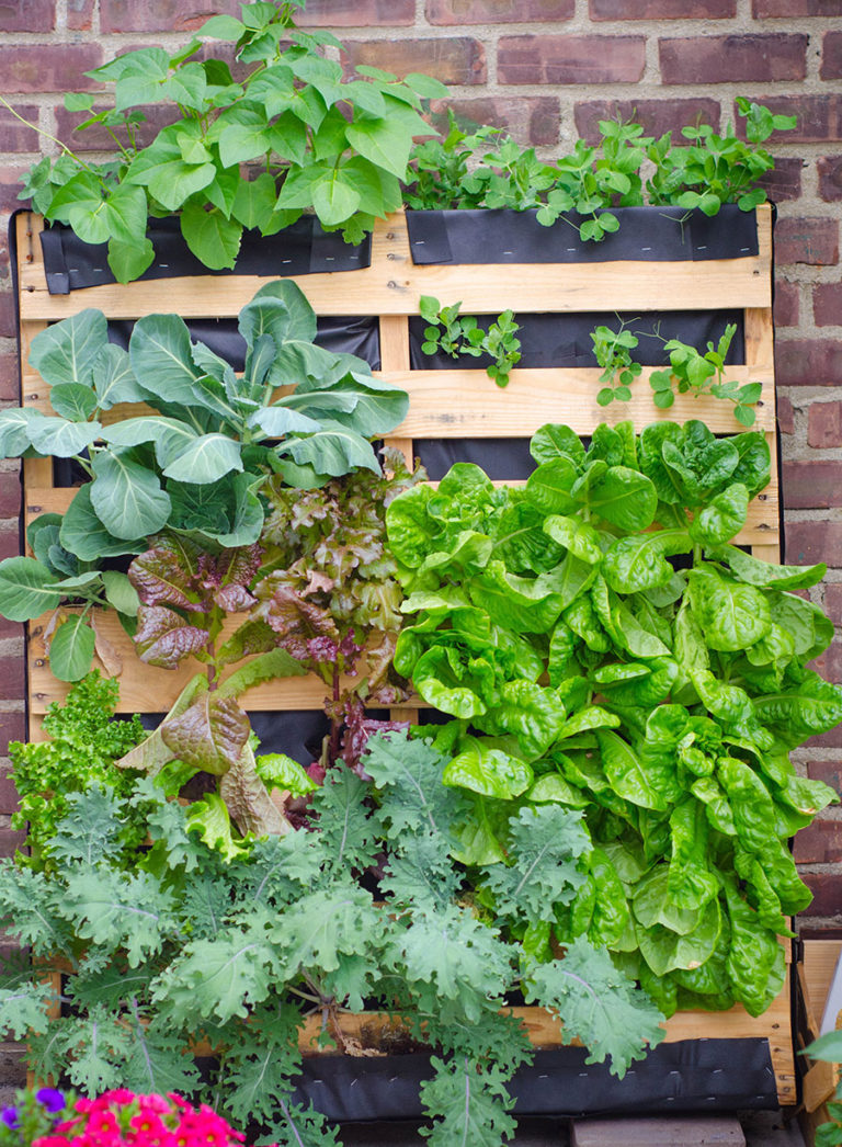 25 Best Vertical Pallet Garden Ideas & DIY Basics Off Grid World