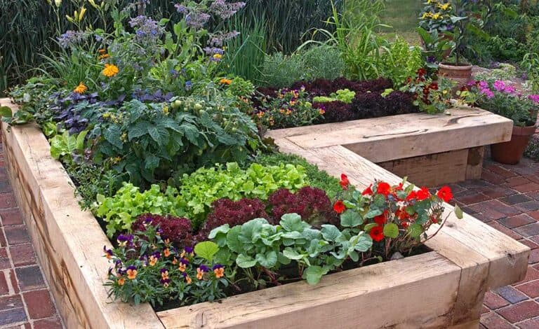 7 Gorgeous Raised Bed Vegetable Gardens Off Grid World 6264