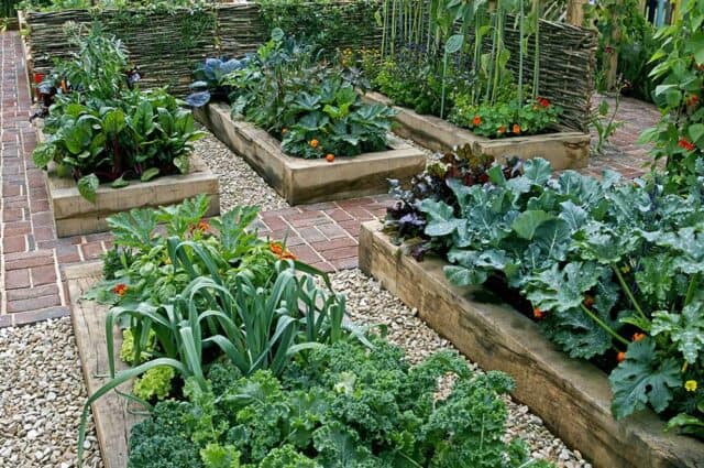 7 Gorgeous Raised Bed Vegetable Gardens - Off Grid World