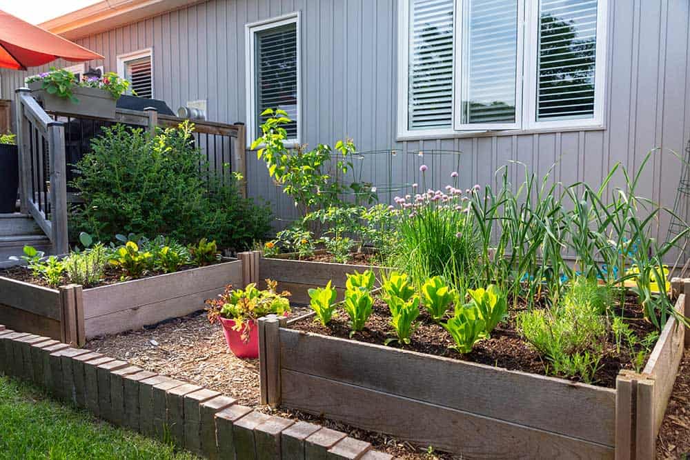 All About Raised-Bed Gardens - This Old House