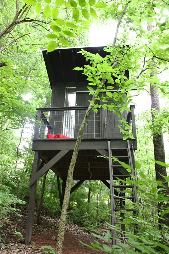 Treehouse in Tennessee