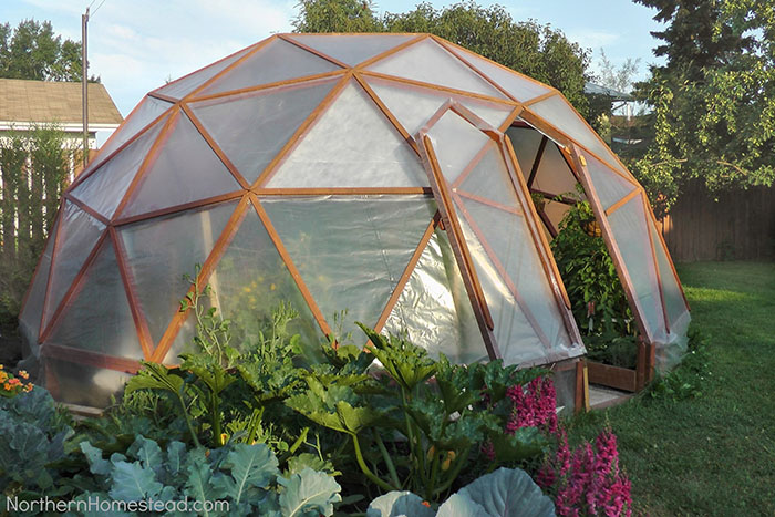13 Cheap DIY Greenhouse Plans