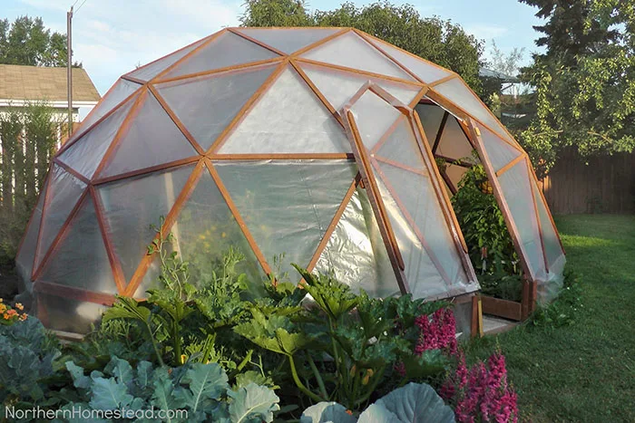 DIY greenhouse