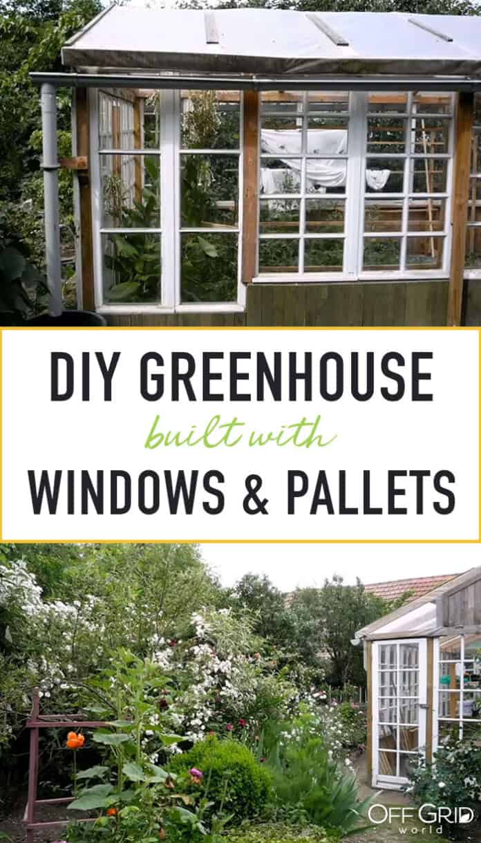 Couple Builds Greenhouse From Old Windows & Pallets Off Grid