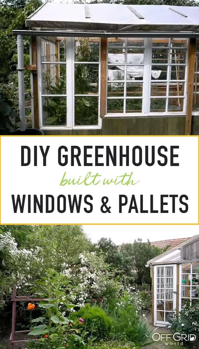 Greenhouse built from old windows and pallets