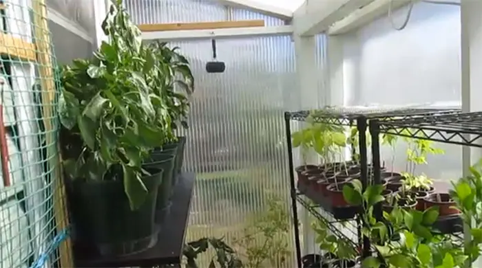 Heat your home with a greenhouse