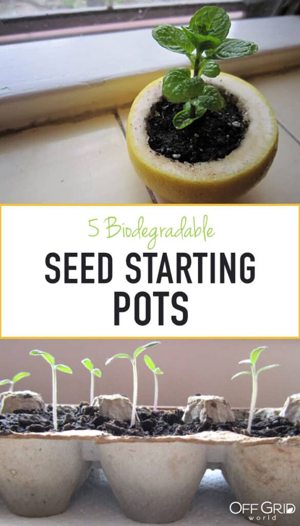 Curated visual reference: Picture Idea: 5 Biodegradable Seed Starter Pots Made With Recycled Materials