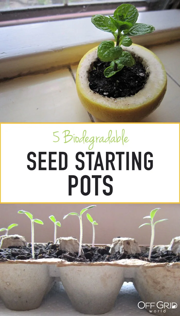 Biodegradable seed starting pots