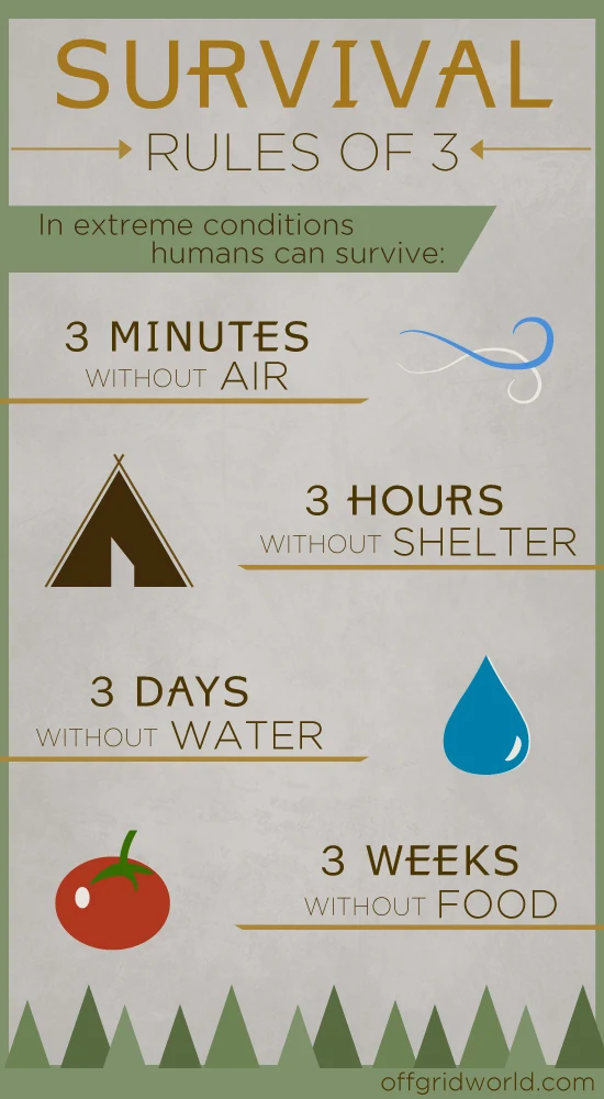survival_infographic2