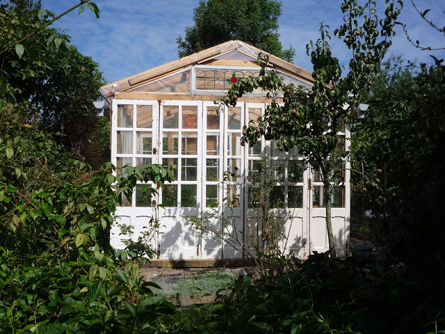 Greenhouse built from old windows