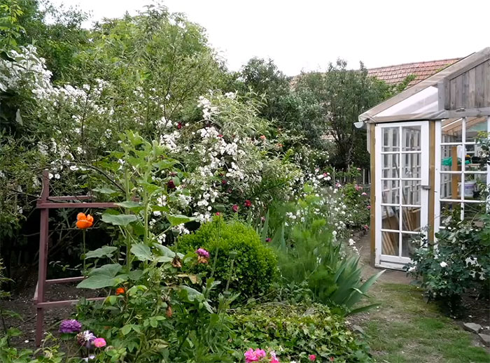 A greenhouse from old pallets