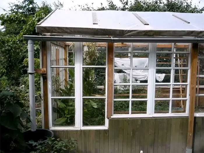 Greenhouse from old windows and pallets