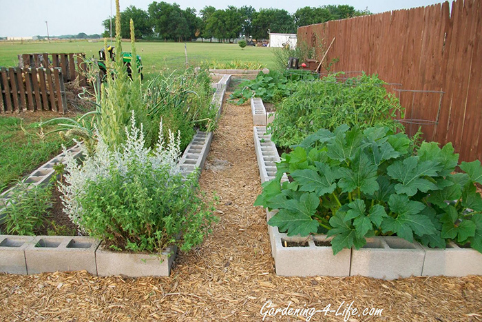 12 Amazing Cinder Block Raised Garden Beds Off Grid World