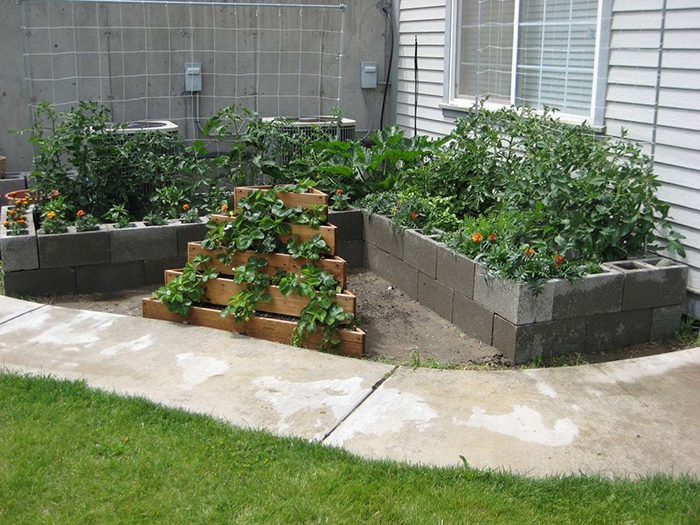 Cinder block raised garden beds