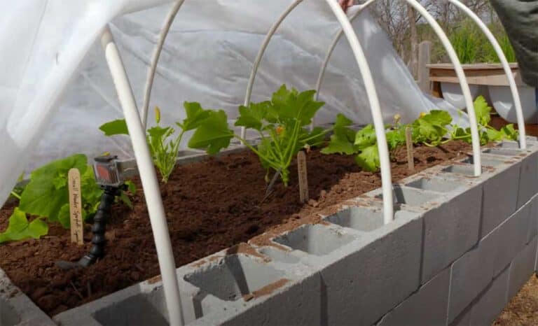 12 Amazing Cinder Block Raised Garden Beds - Off Grid World