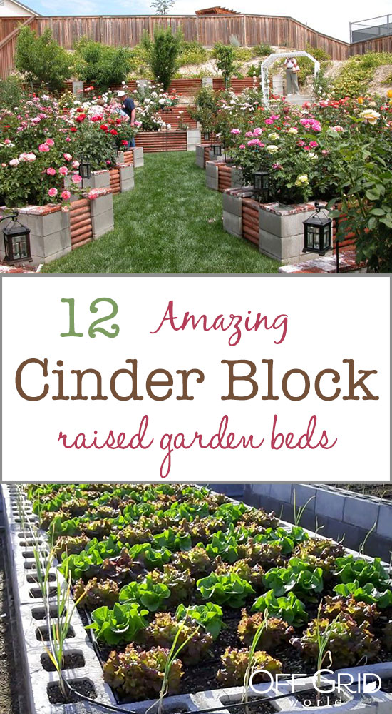 12 Amazing Cinder Block Raised Garden Beds - Off Grid World