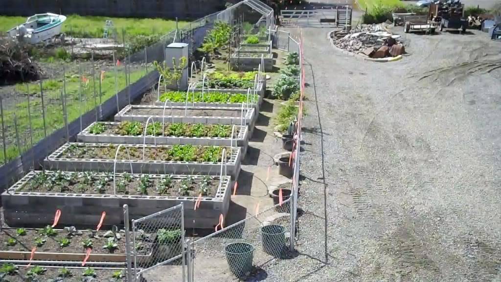 A Raised Bed with Cinder Blocks - Laidback Gardener