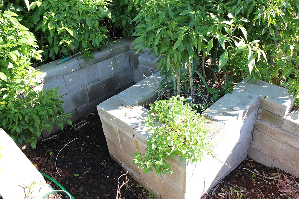 Dammann's Garden Company – DIY Series: Raised Garden Beds