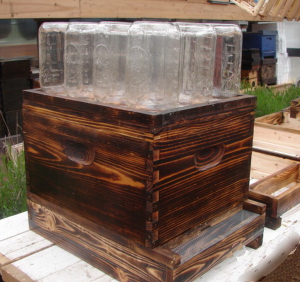 Awesome DIY Mason Jar Beehive - Off Grid World