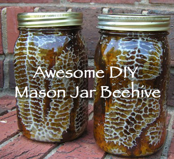 awesome diy mason jar beehive - off grid world