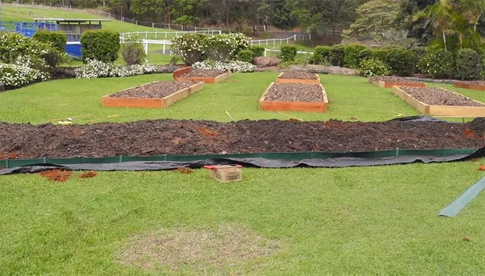 lawn-permaculture6