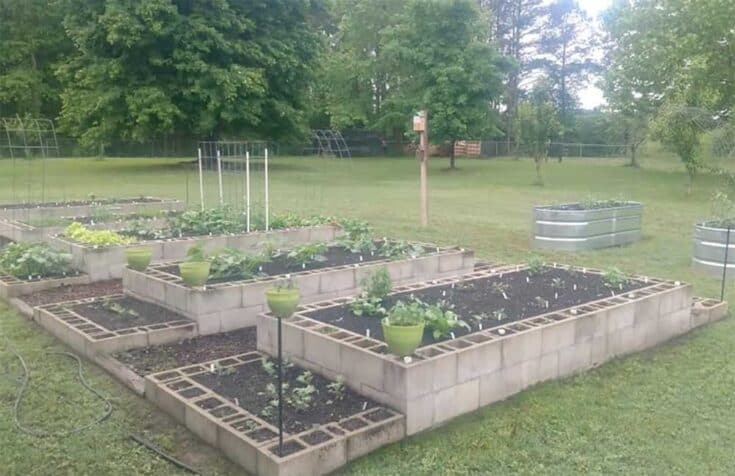 12 Amazing Cinder Block Raised Garden Beds - Off Grid World