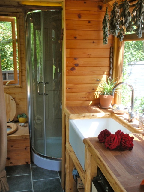 Tiny house bathroom